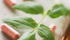 Herbal Male Enhancement